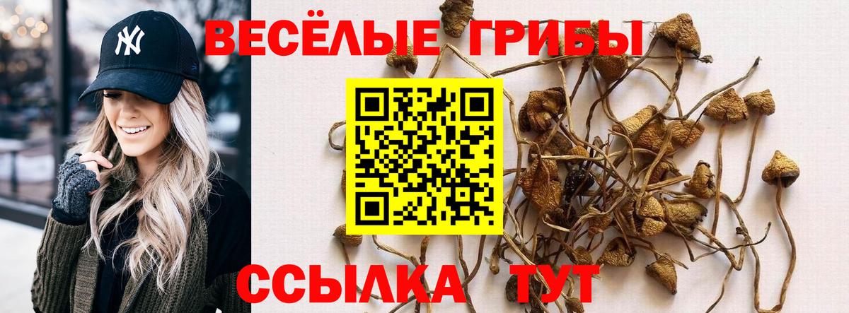 НБОМе  ТГК  МЕТАМФЕТАМИН  Alpha PVP СОЛЬ   Вход с VPN  Меф МЯУ МЯУ   Кокаин  Кимры  МАРИХУАНА  Гашиш 